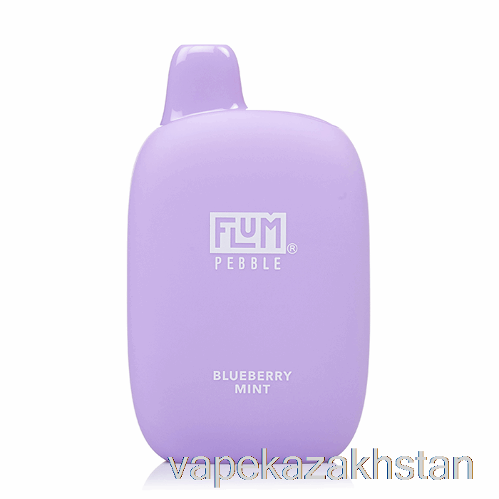 Vape Kazakhstan Flum Pebble 6000 Disposable Blueberry Mint